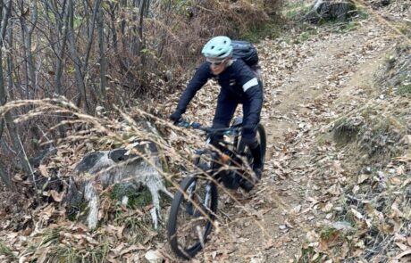 2025 end of season (14)