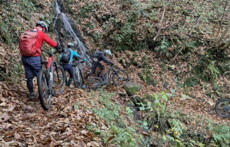 2025 end of season (19)