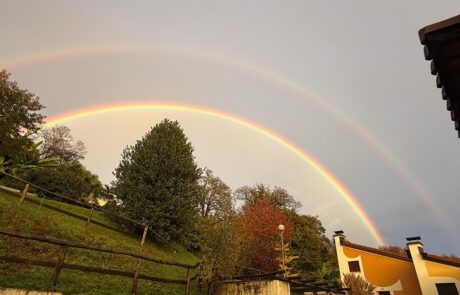 2025 end of season (5)