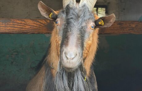 2025 end of season (7)