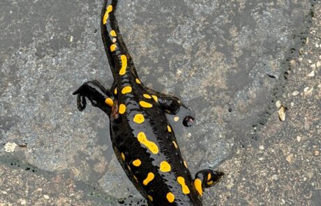 2025 end of season (9)