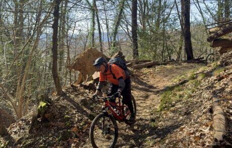 bikemania tours