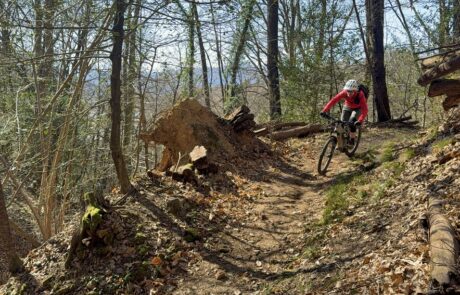 bikemania tours