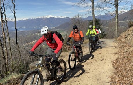 bikemania tours