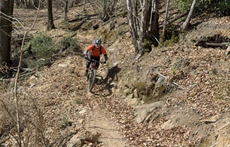 bikemania tours