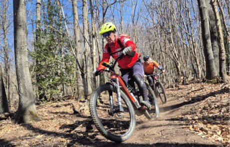 bikemania tours