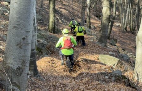 bikemania tours