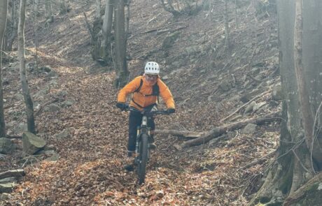 bikemania tours