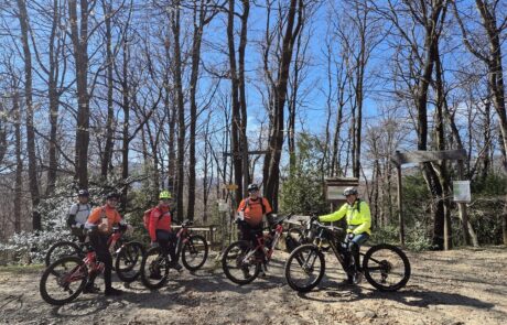 bikemania tours